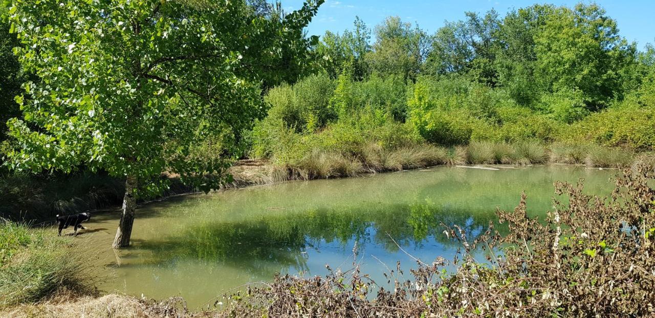 Gite De Campagne L'Estressol Cuq  Esterno foto
