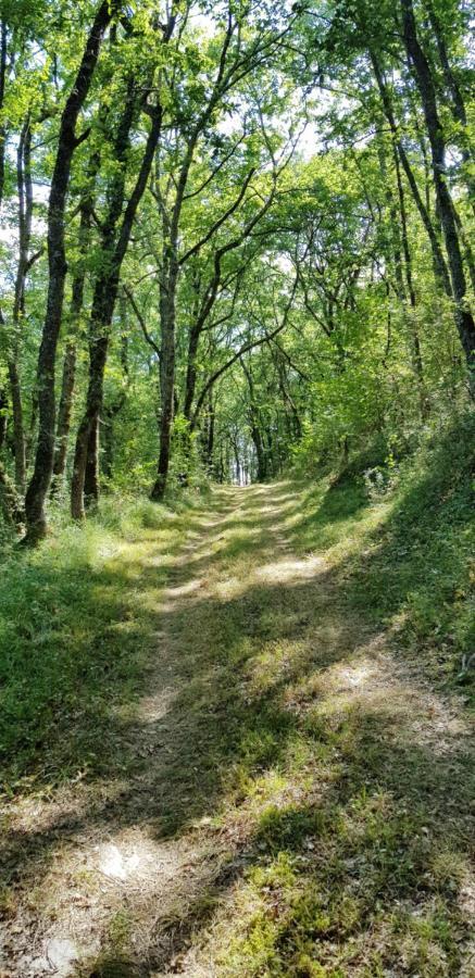 Gite De Campagne L'Estressol Cuq  Esterno foto